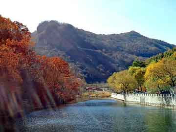 新澳天天开奖资料大全旅游团，目录站群